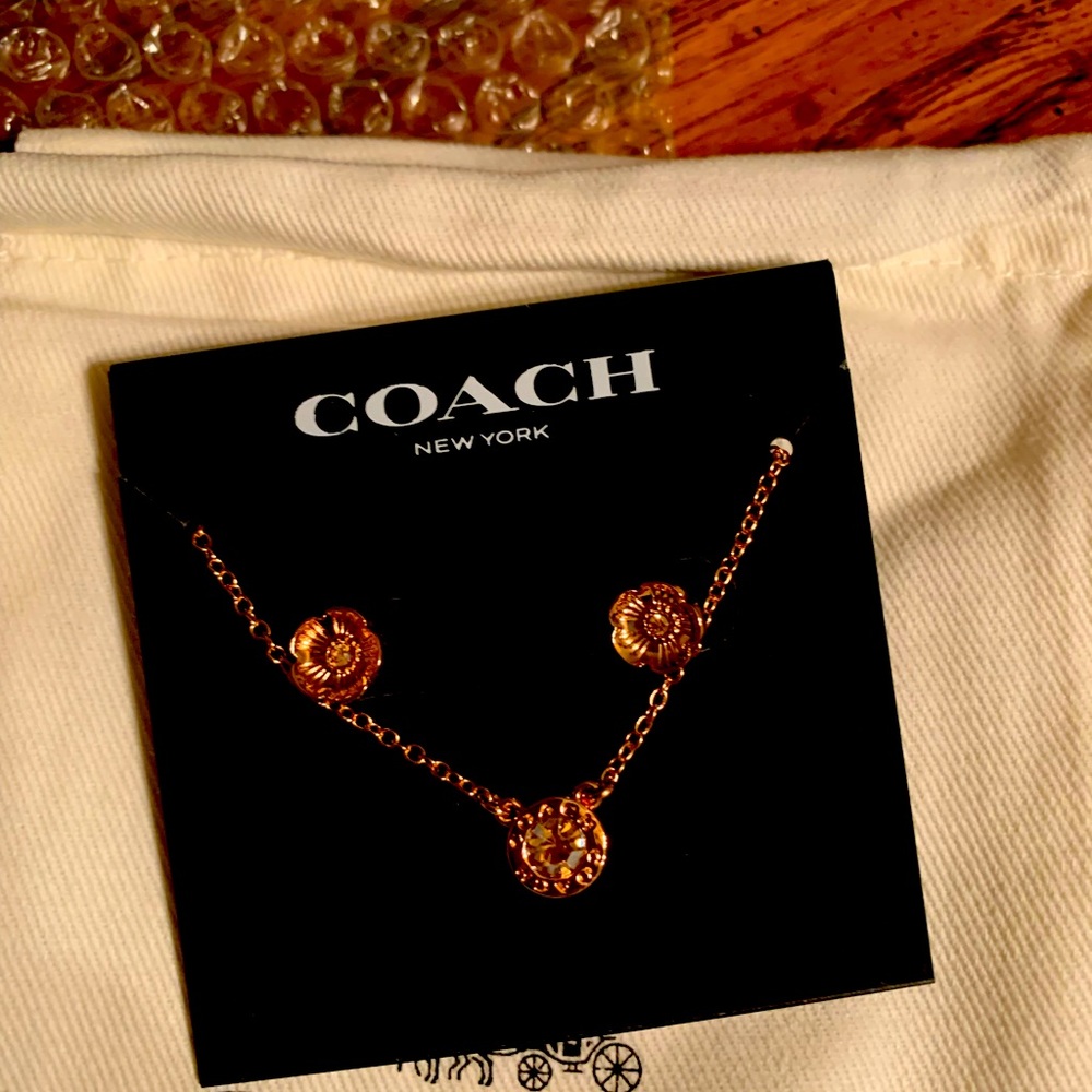 Coach necklace and earrings new